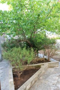 Garden View 3 Buen Retiro Depressa