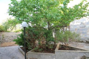 Garden View 2 Buen Retiro Depressa